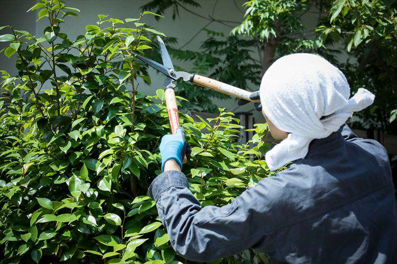 造園工【正社員】